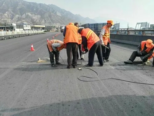 凤阳道路桥梁病害治理